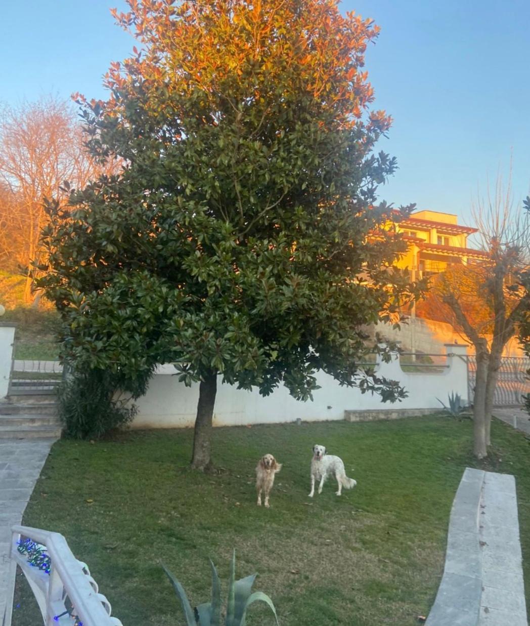 Pace, Luminosita E Comodita A Due Passi Dal Garda Volta Mantovana Rum bild